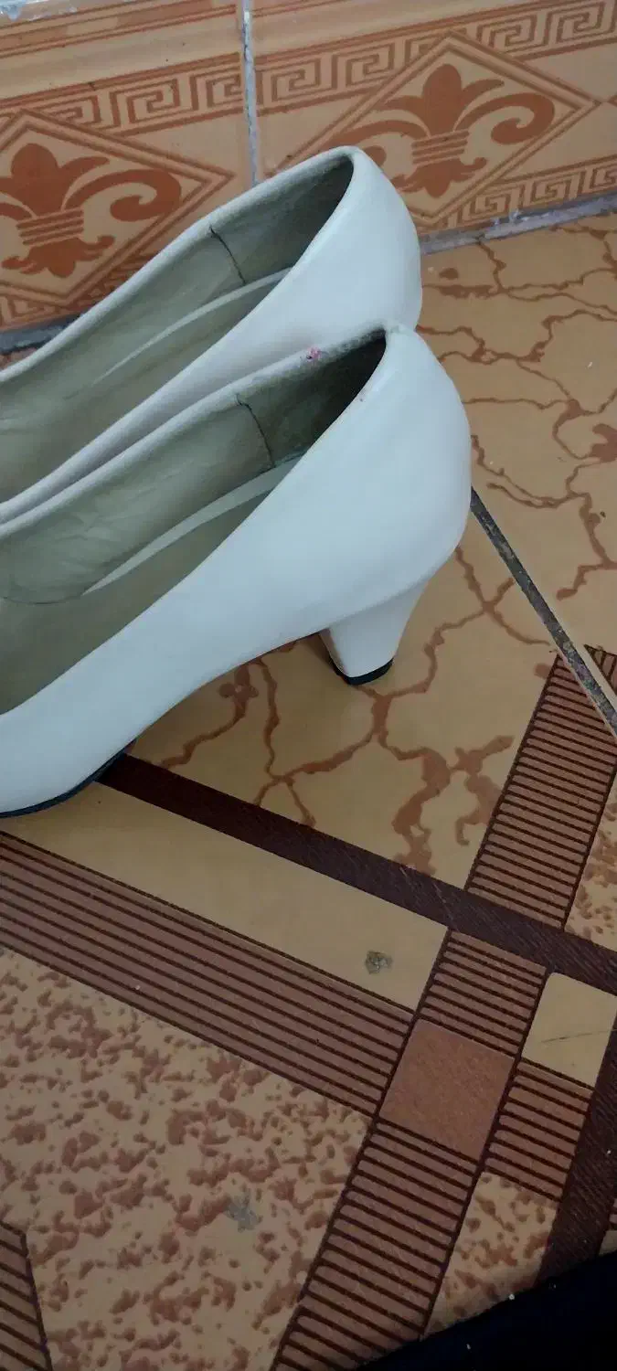 کفش پاشنه بلند|کیف، کفش، کمربند|نهاوند, |دیوار