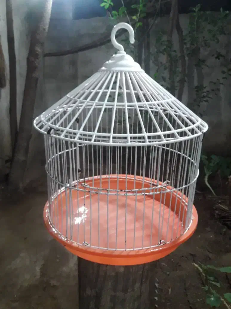 قفس پرنده|لوازم جانبی حیوانات|فومن, |دیوار