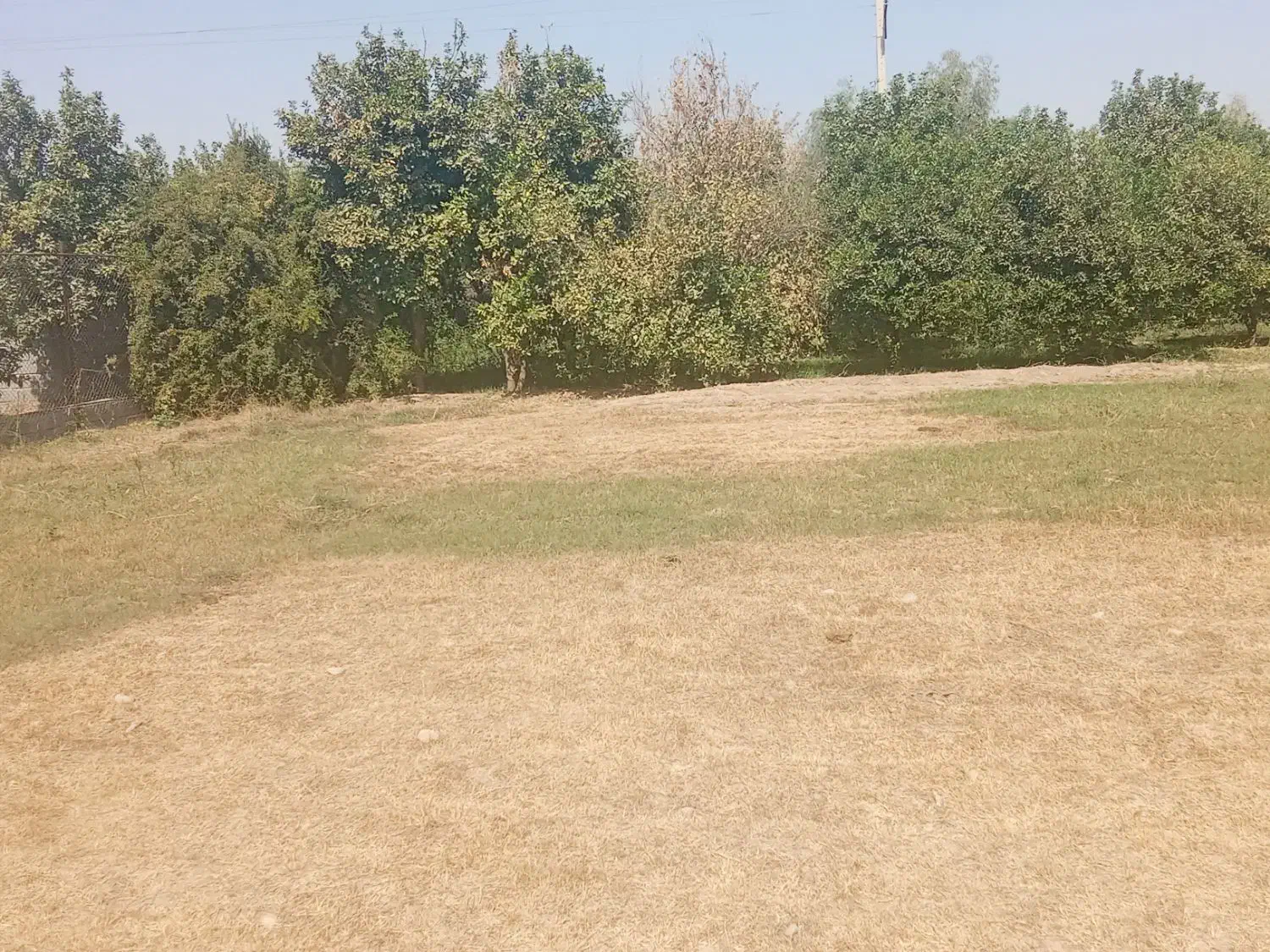 یک قطعه۶۰۰ متری باغ در اسکندر آباد|فروش خانه و ویلا|اندیمشک, |دیوار