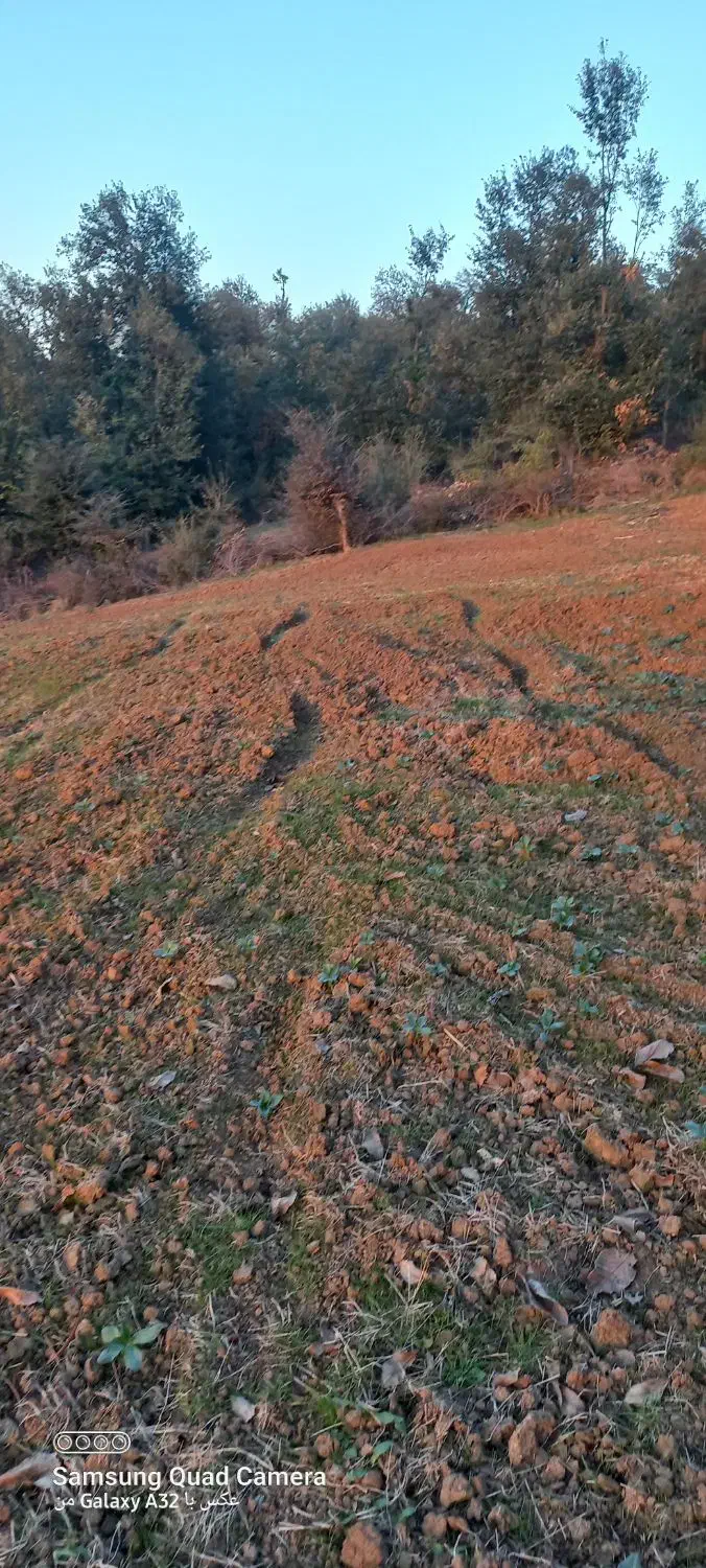 زمین کشاورزی دیم در دامنه کوه|فروش زمین و ملک کلنگی|خان ببین, |دیوار