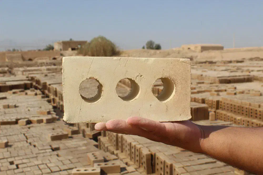 تولید اجرسه گل زرد|عمدهفروشی|ماهان, |دیوار