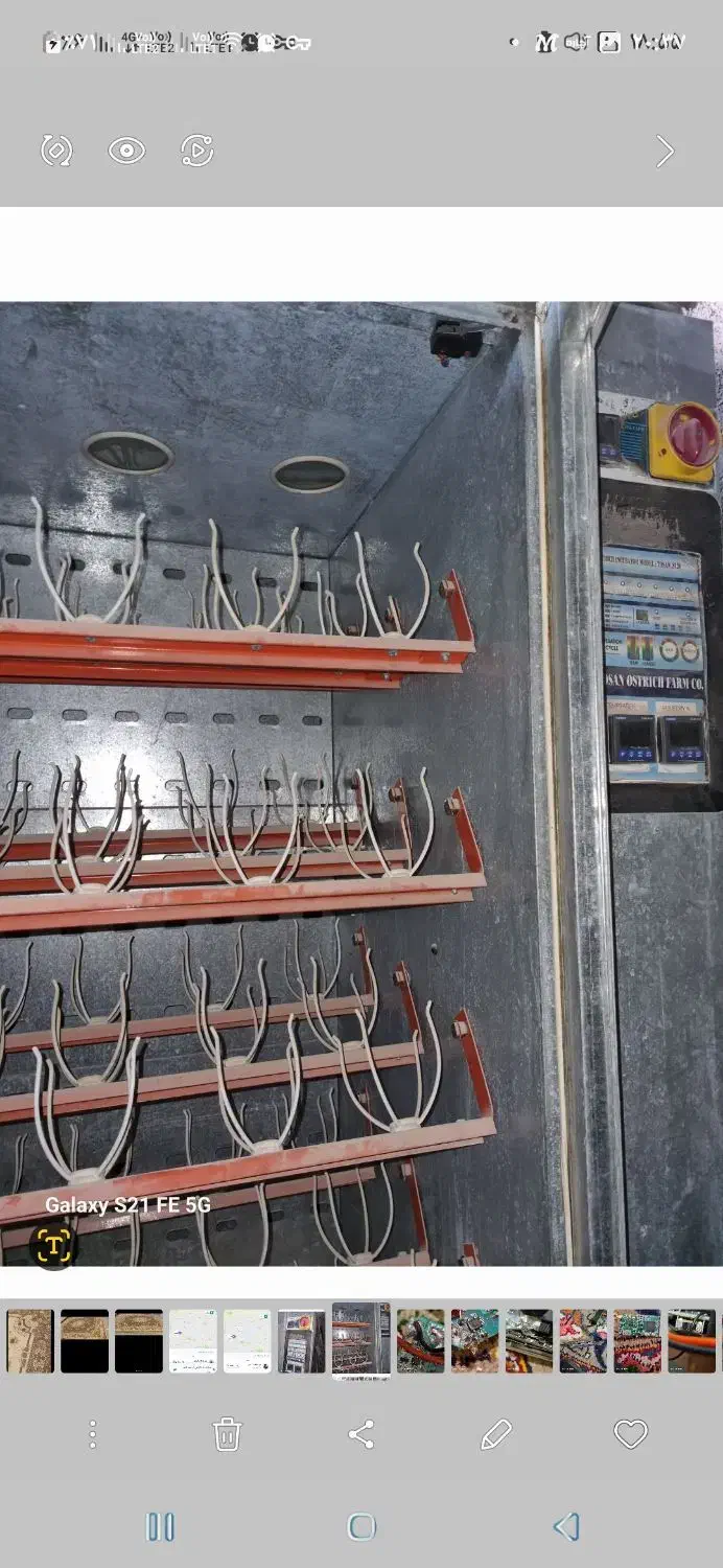 دستگاه جوجه کشی شترمرغ توسن|ماشینآلات صنعتی|آبعلی, |دیوار