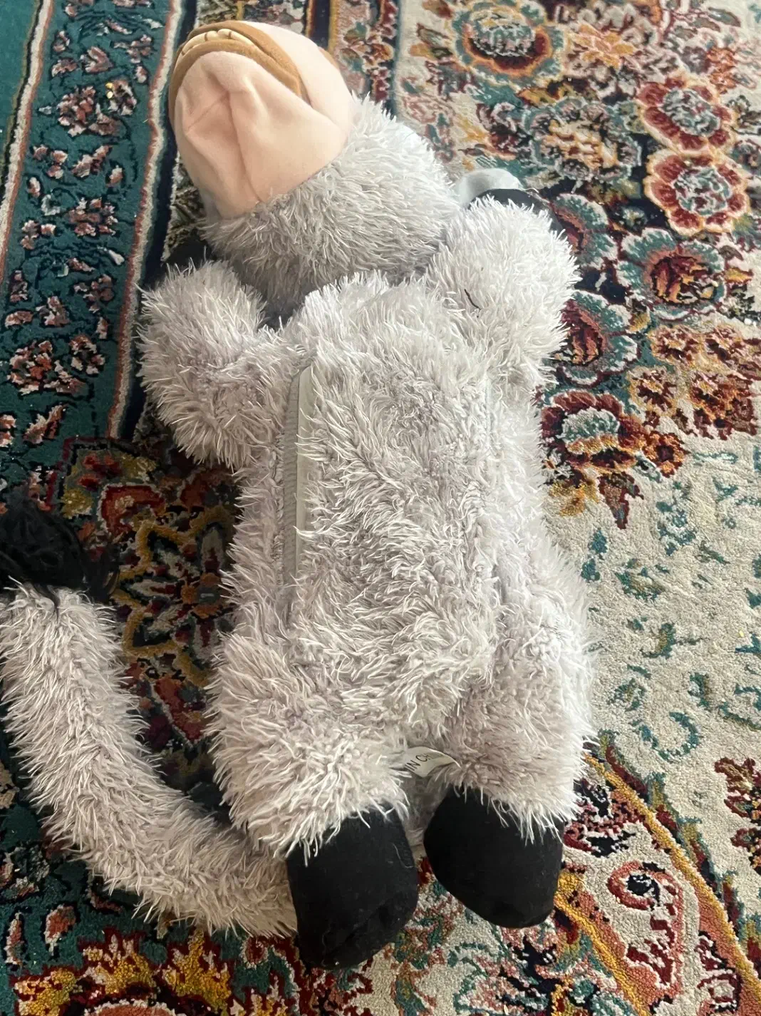 عروسک موزیکال|اسباببازی|فسا, |دیوار