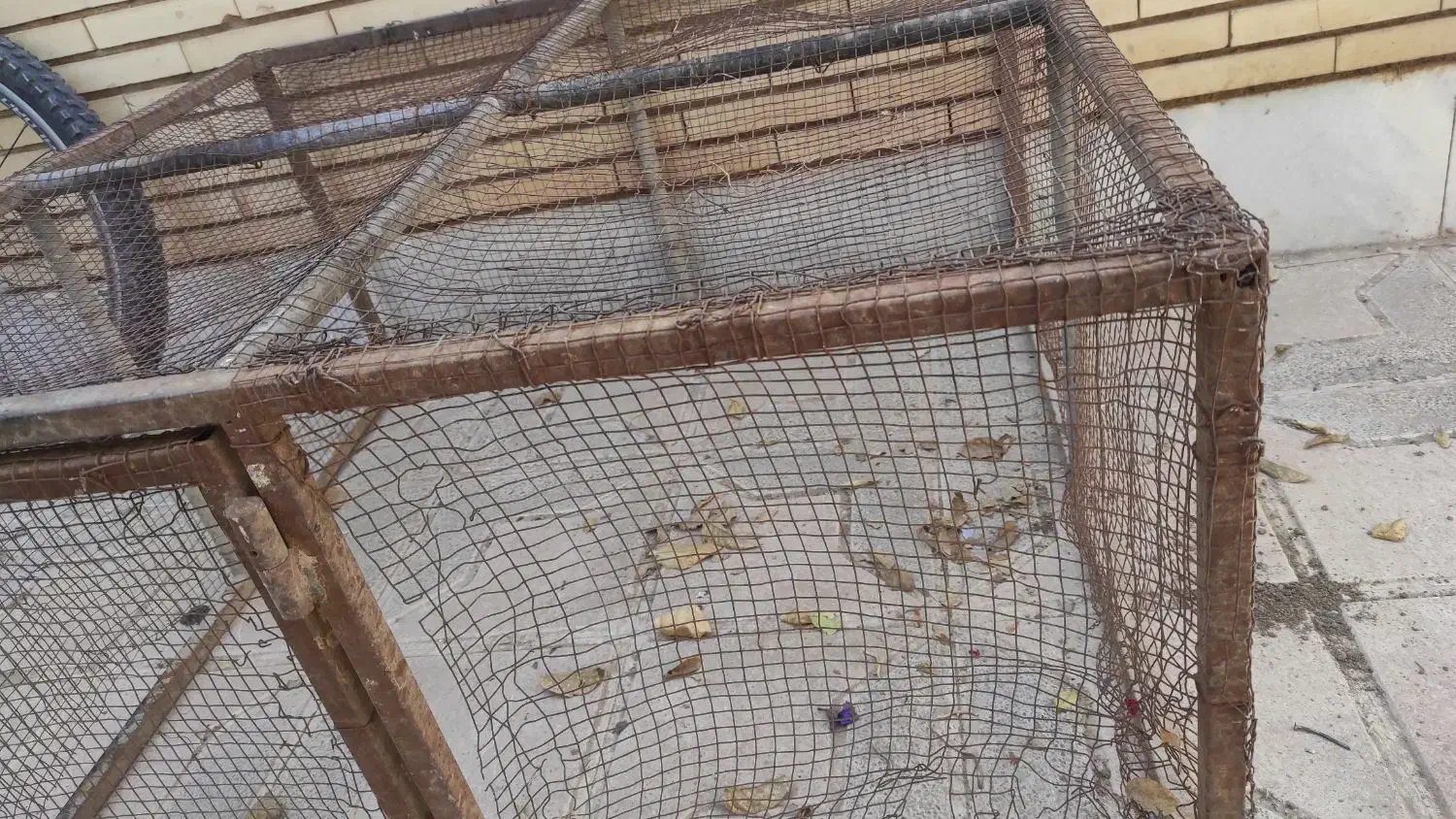 قفس ۱×۱ با تخفیف ویژه تا ساعت ۱۲ امشب|لوازم جانبی حیوانات|میبد, |دیوار