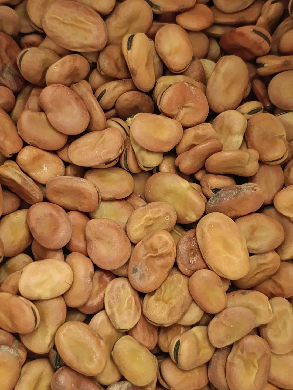 باقلا باقالی|عمده‌فروشی|برازجان, |دیوار