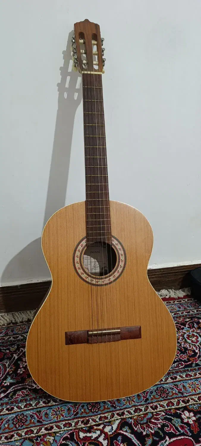 گیتار m5|گیتار، بیس، امپلیفایر|دشت ذهاب, |دیوار