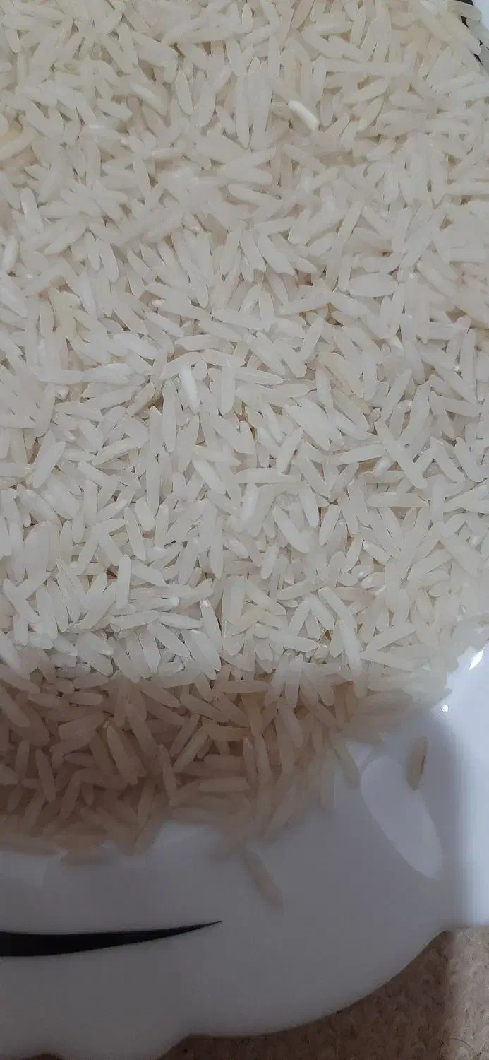برنج دم سیاه شمشیری|خوردنی و آشامیدنی|قم, چهل درخت‎|دیوار