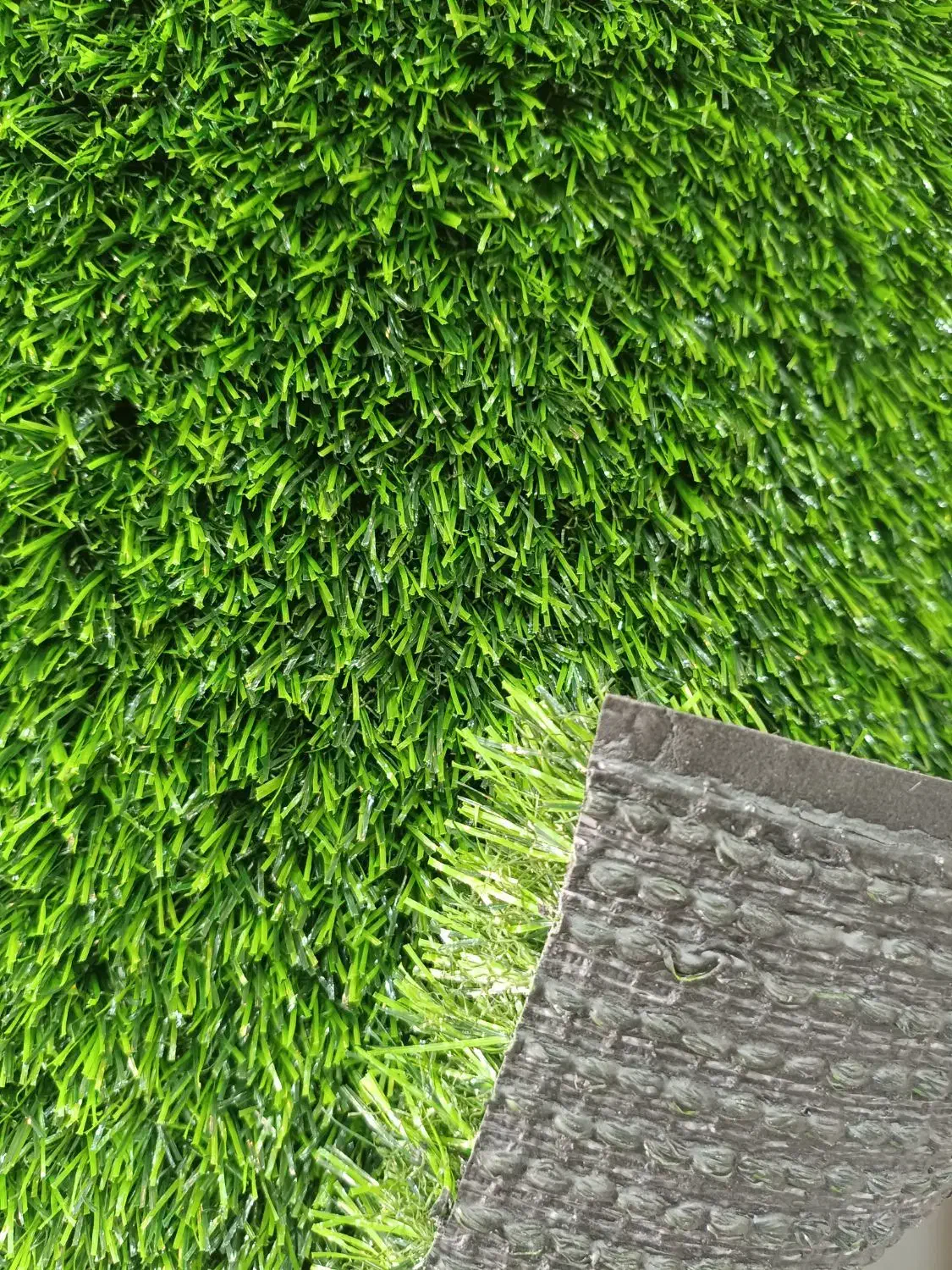 چمن مصنوعی|گل مصنوعی|شیراز, اصلاح‌نژاد|دیوار