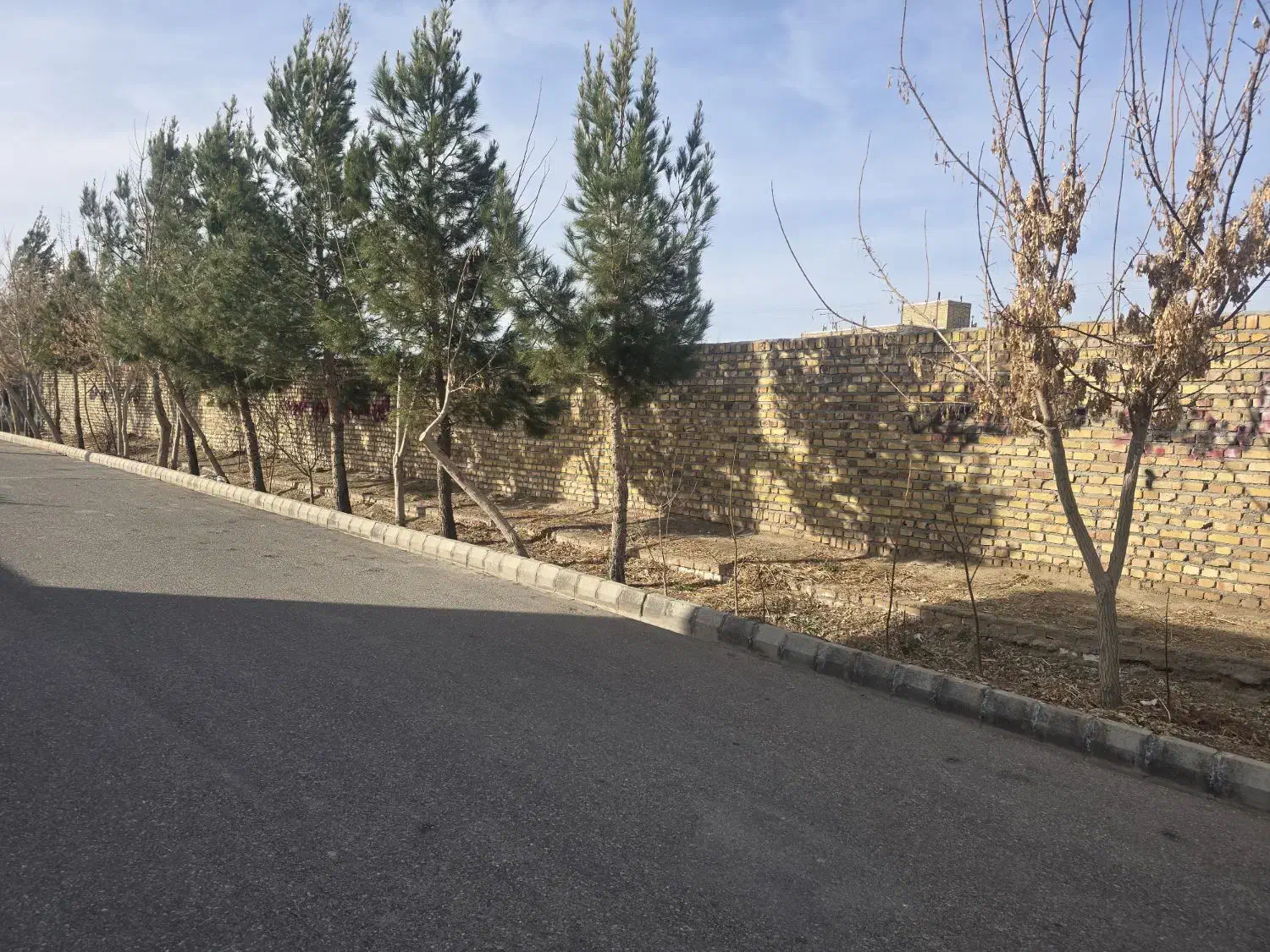 زمین  فروشی مسکونی|فروش زمین و ملک کلنگی|تایباد, |دیوار