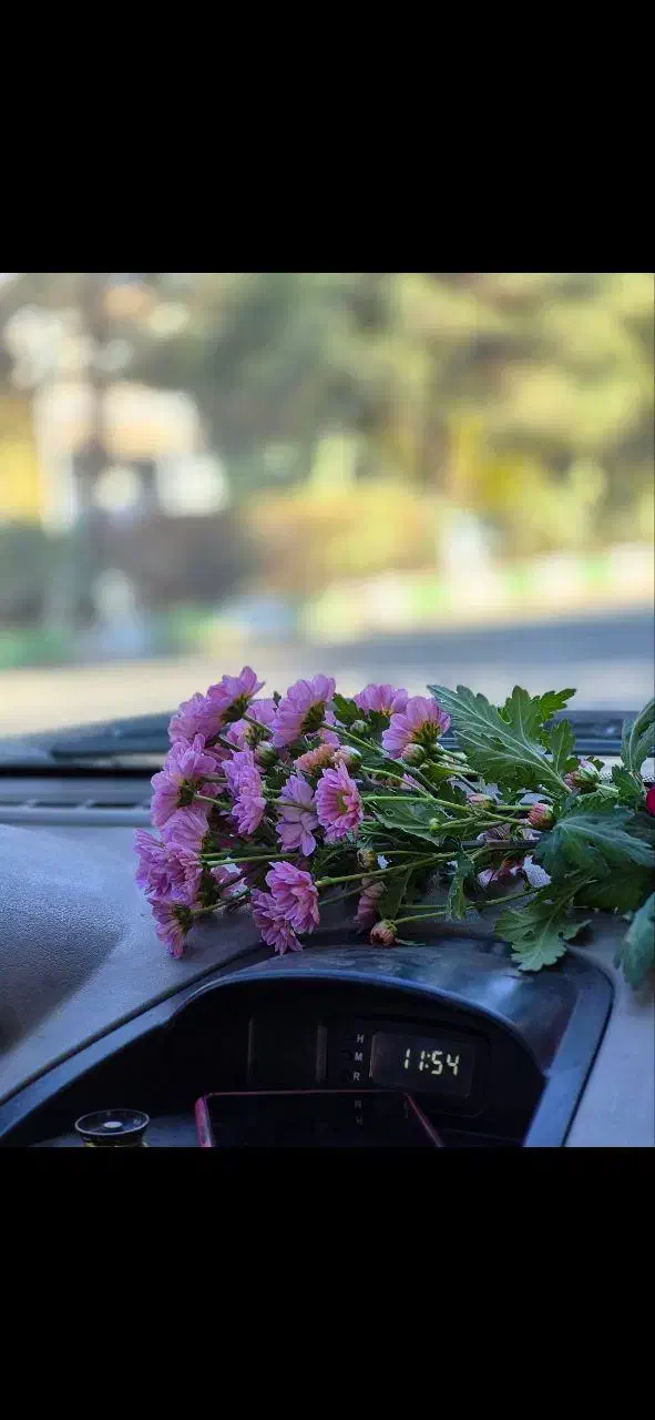 عکاسی خیابانی پاییزه کافه تولد|خدمات پذیرایی، مراسم|قم, دانش|دیوار