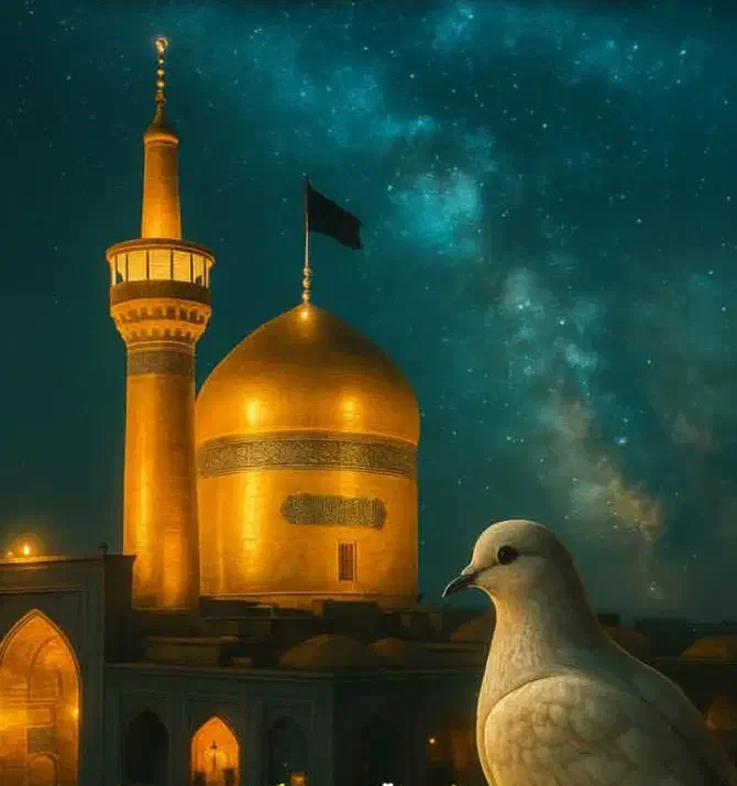 سفر تور کربلا زیارت مشهد  اقتصادی آخر هفته ها|تور و چارتر|شیراز, لب آب|دیوار