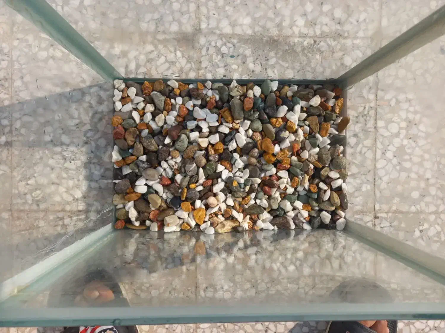 اکواری م نو|ماهی|باقرشهر, |دیوار