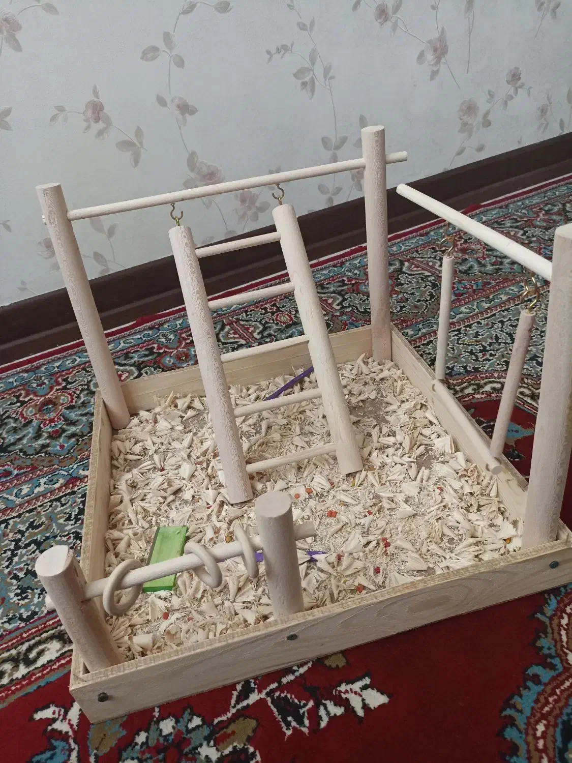 سرگرمی پرنده|لوازم جانبی حیوانات|ری, دولتآباد|دیوار