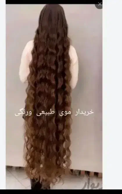 موهای خام و رنگی|آرایشی، بهداشتی، درمانی|الیگودرز, |دیوار