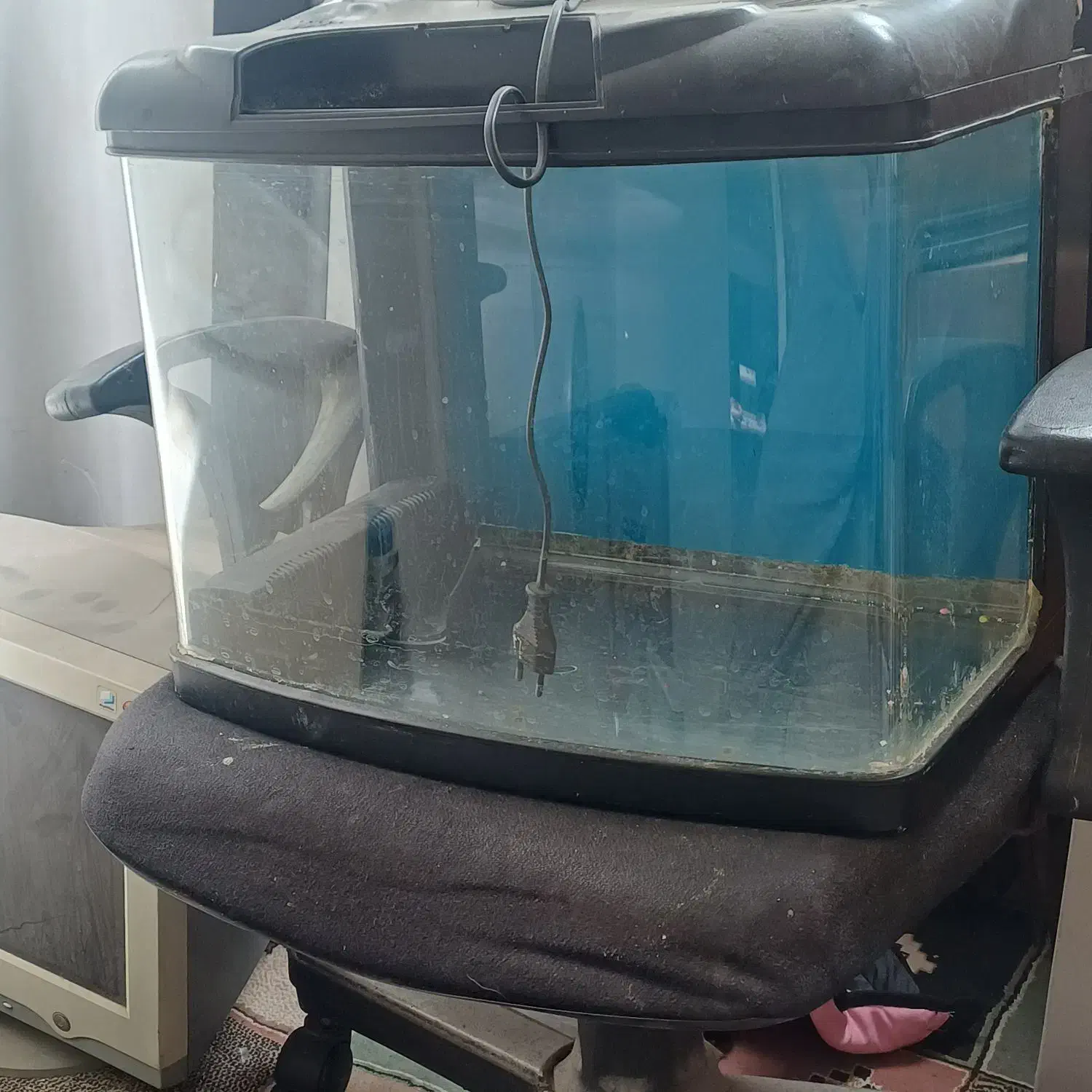 آکواریوم|ماهی|نسیم‌شهر, |دیوار