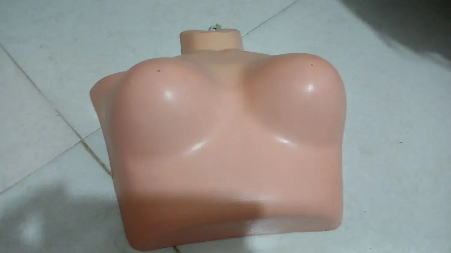 مانکن نیم تنه پلاستیکی زنانه|لوازم خیاطی و بافتنی|سنندج, |دیوار