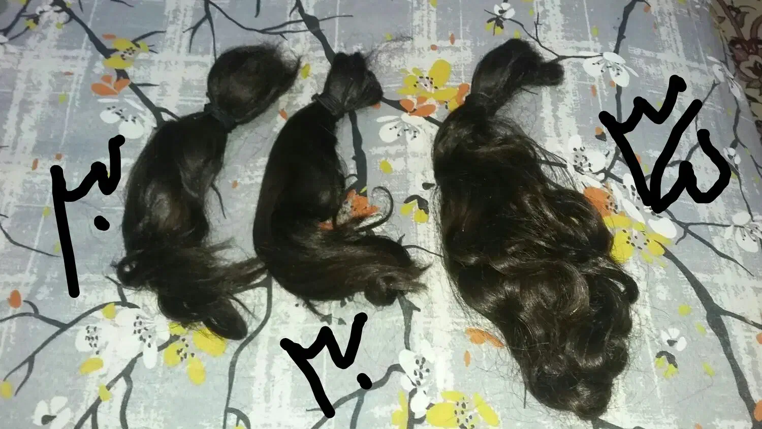 فروشنده موی طبیعی|حراج|شاهینشهر, فردوسی|دیوار