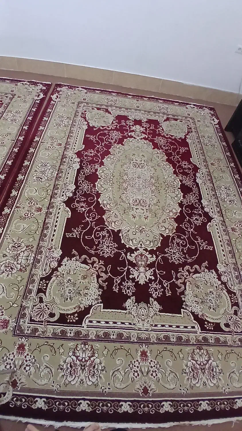 فرش ۶متری|فرش|شاهرود, |دیوار