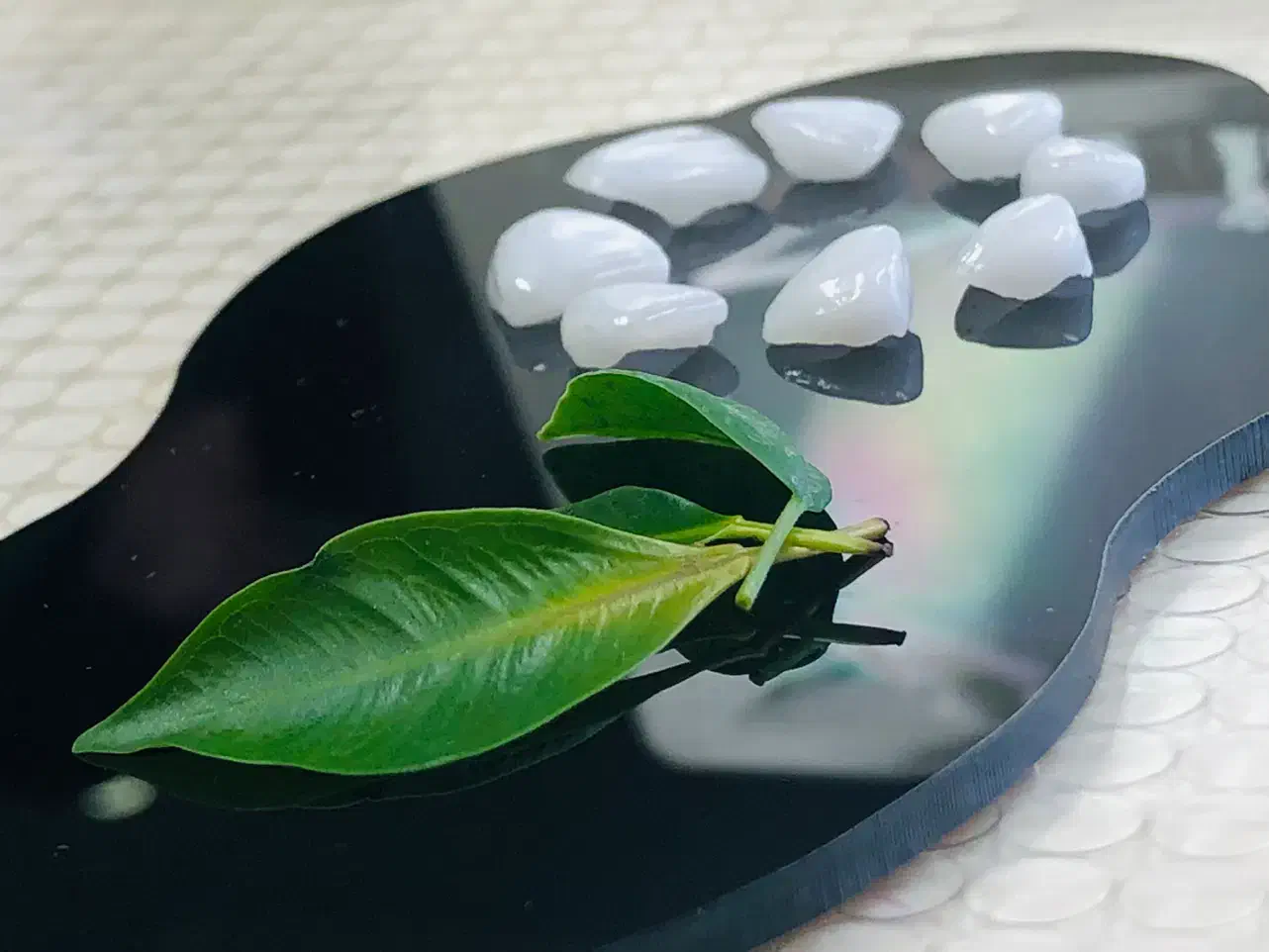 کاریابی|استخدام درمانی، زیبایی، بهداشتی|مهاباد (آذربایجان غربی), |دیوار