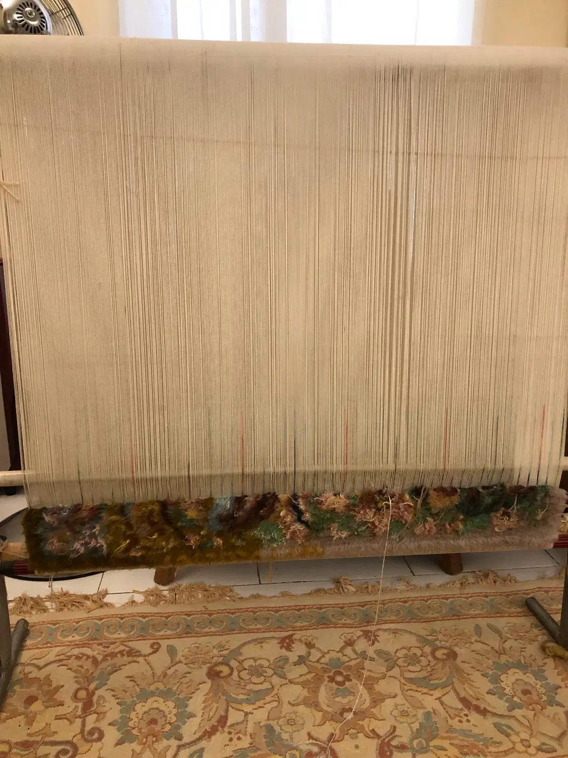 دار قالی|تابلو فرش|تهران, مشیریه|دیوار