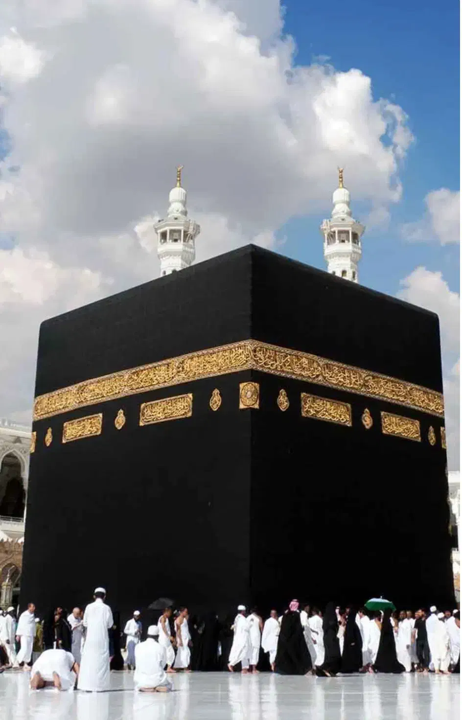 فروش فیش حج|تور و چارتر|فیروزآباد (فارس), |دیوار