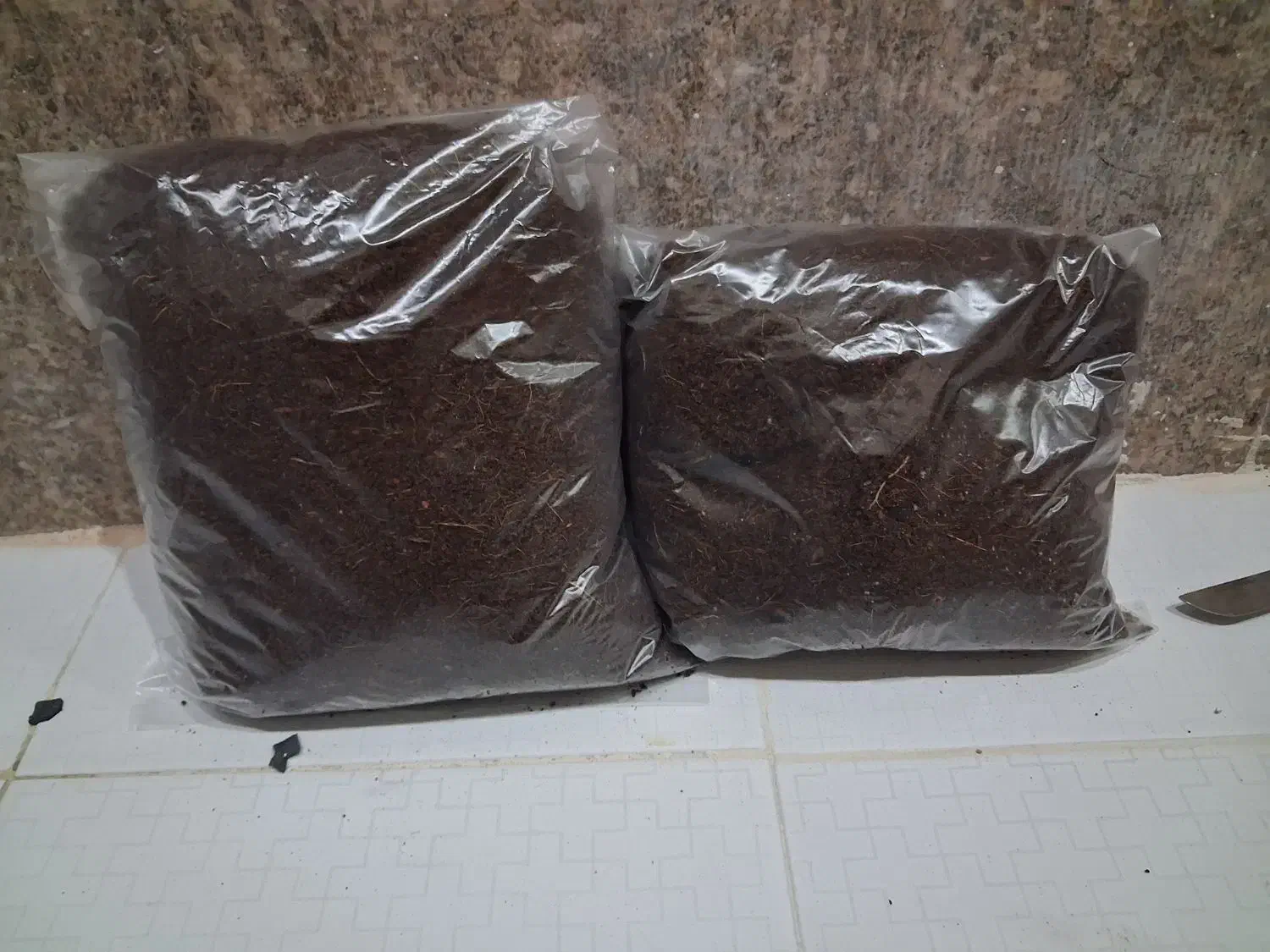 خاک بستر حلزون|خزنده|تهران, بلوار کشاورز|دیوار