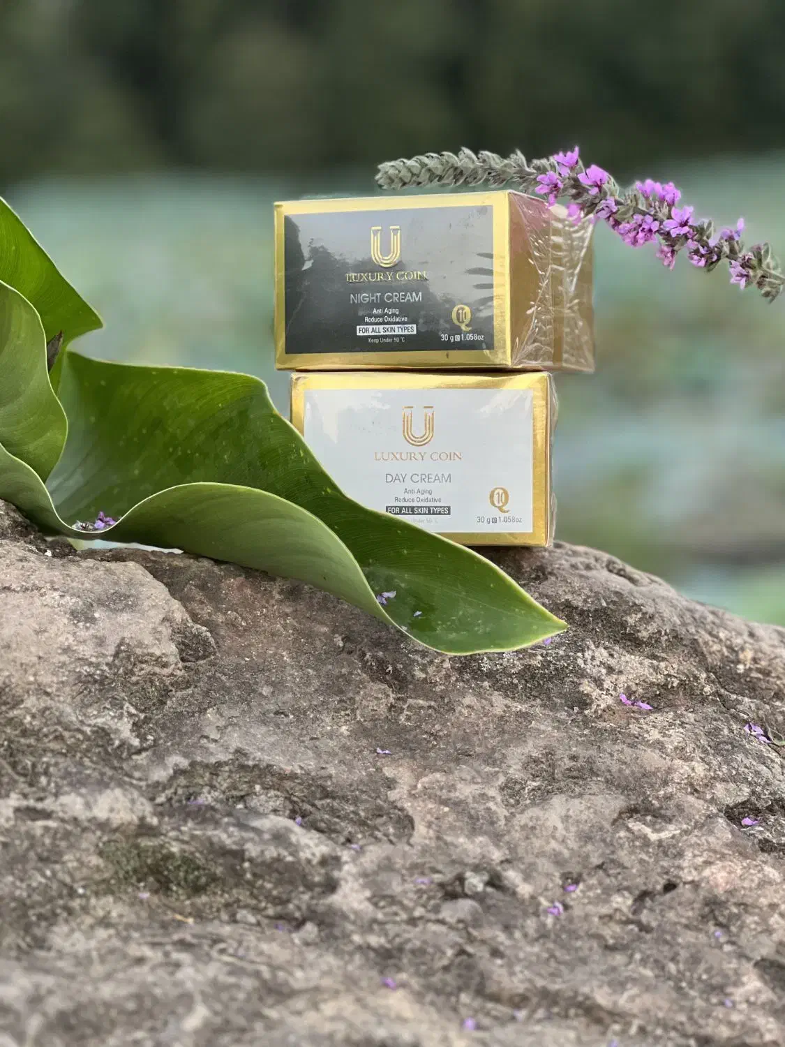 کرم های ۱۰کاره|آرایشی، بهداشتی، درمانی|رشت, منظریه|دیوار