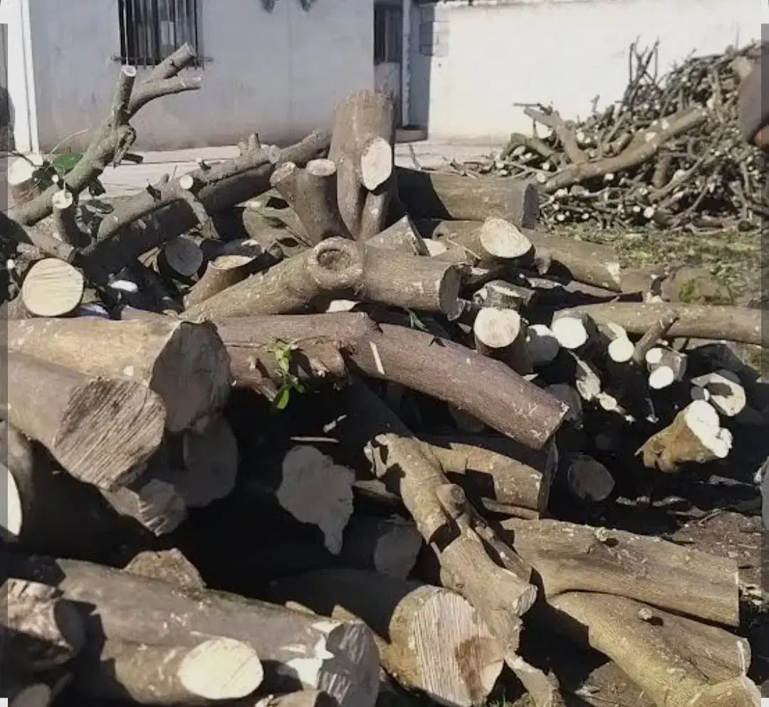 خریدار چوب مرکبات وغیره|خدمات باغبانی و درختکاری|فسا, |دیوار