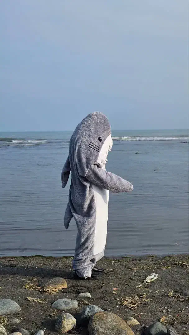 پتو کوسه ای|رختخواب، بالش، پتو|نجفآباد, ریاضی|دیوار