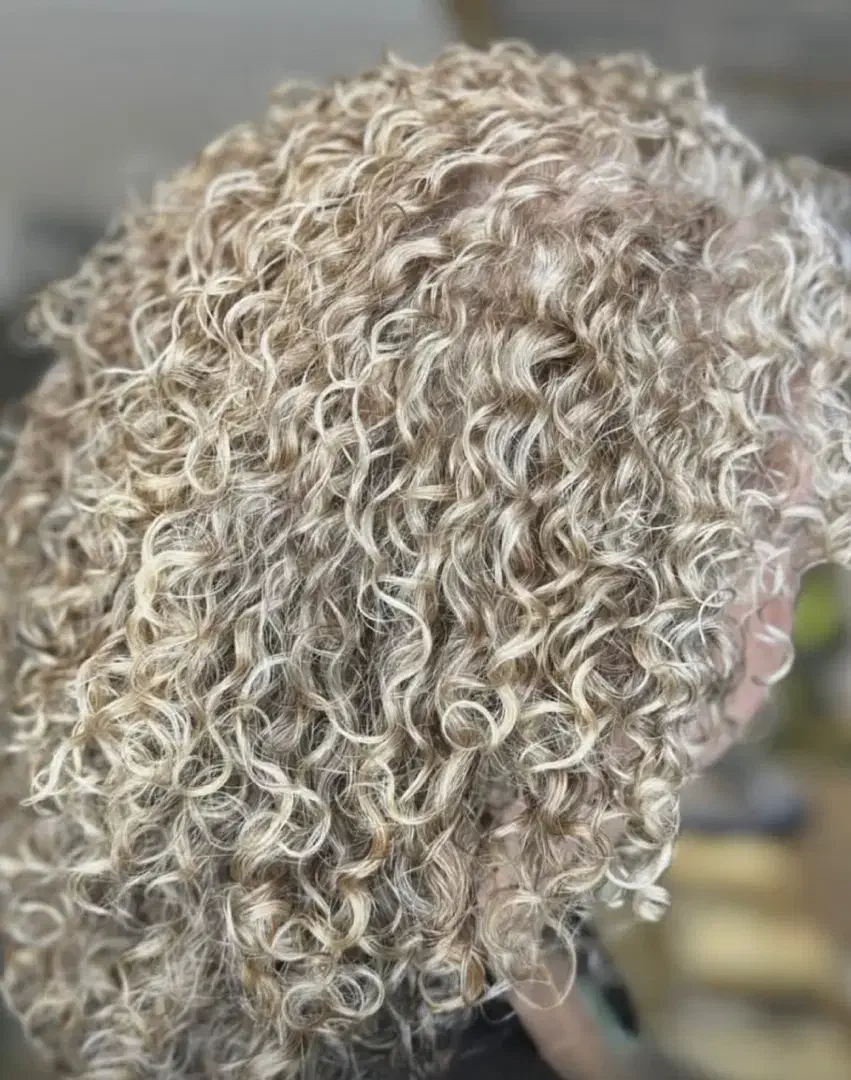 آموزش تخصصی فردائم و احیای موهای فر|خدمات آموزشی|تبریز, |دیوار