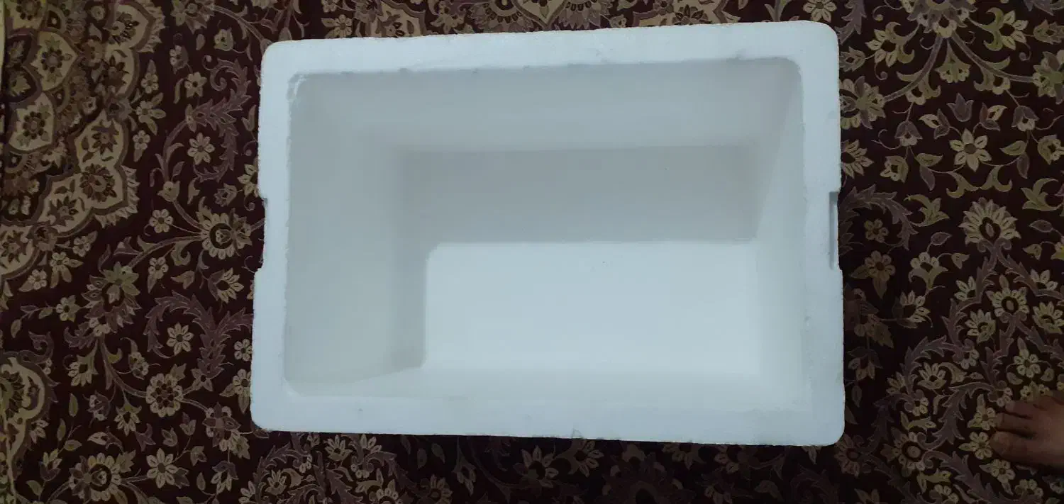 کائوچو برا ماهی|ماهی|هندیجان, |دیوار