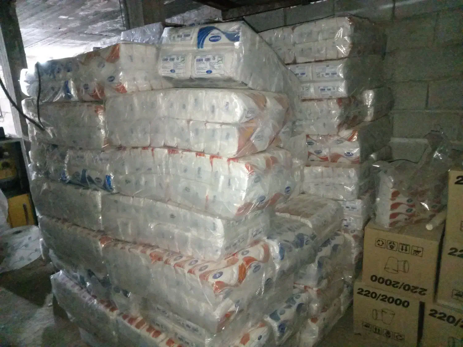 تولید سفره یکبار مصرف، زباله، دستمال کاغذی، لیوان|سفره، حوله، دستمال آشپزخانه|شهرضا, |دیوار