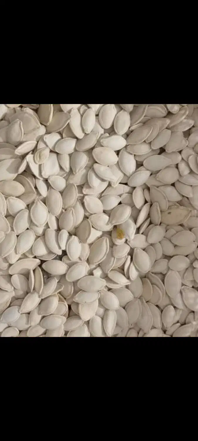 حبوبات|عمده‌فروشی|ماهدشت, |دیوار