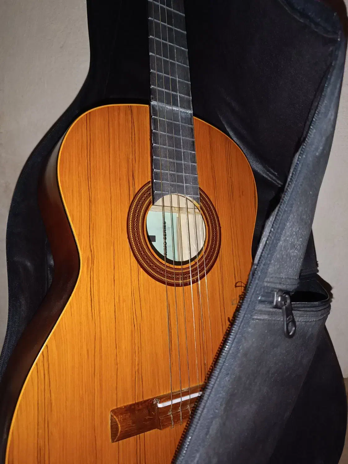 گیتار نو بدون استفاده|گیتار، بیس، امپلیفایر|اهواز, کوی رمضان|دیوار