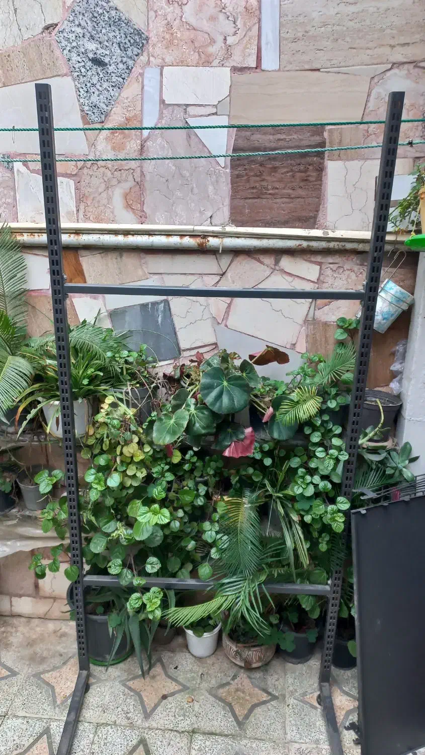 استند آدامس وتیغ جوراب و تنقلات|فروشگاه و مغازه|رودسر, |دیوار