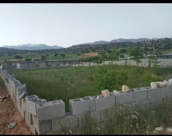 زمین فیروزاباد|فروش زمین و ملک کلنگی|یاسوج, |دیوار