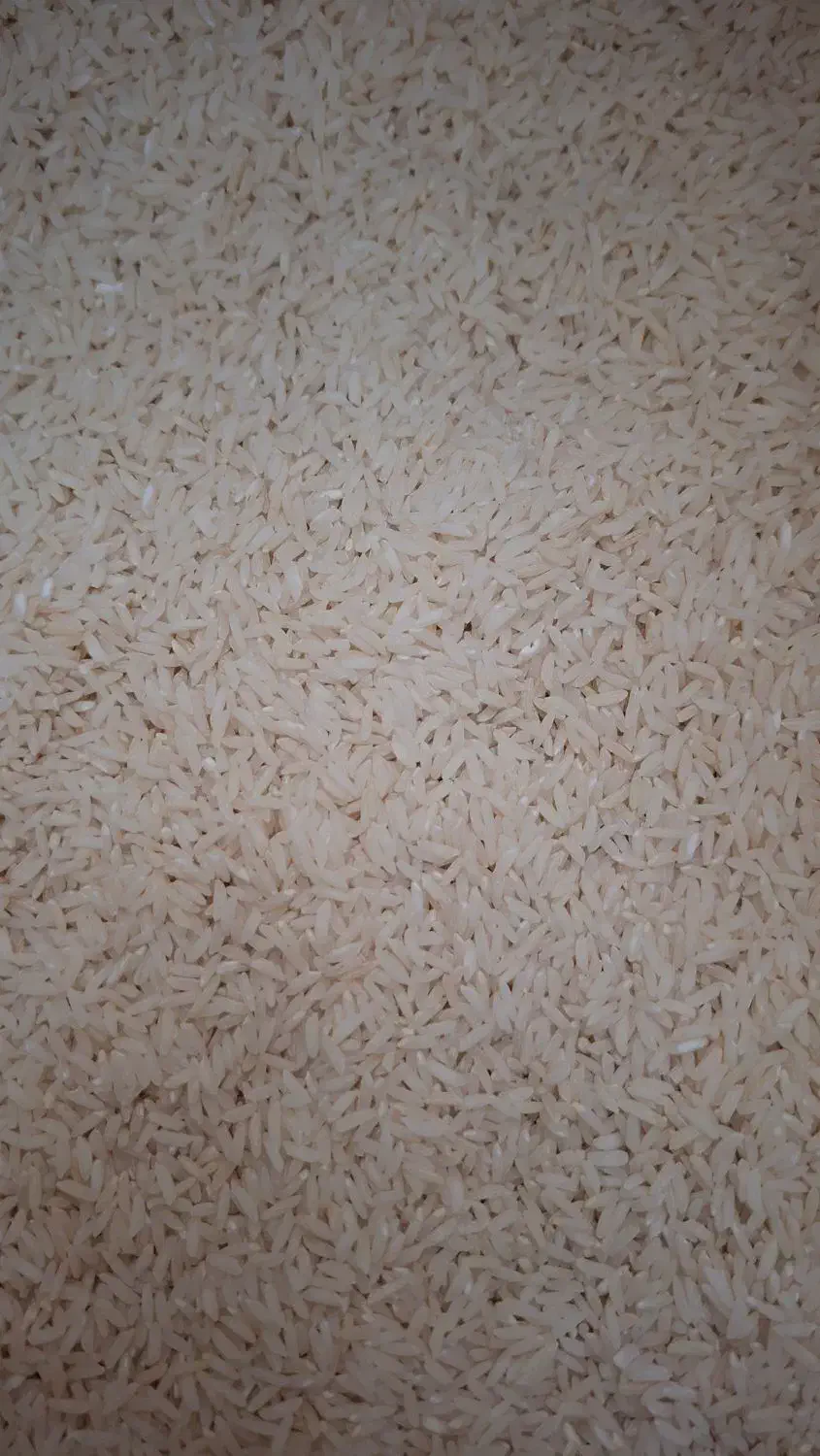 فروش برنجطلارم محلی (سنگه طارم)مازندران|خوردنی و آشامیدنی|کیش, |دیوار