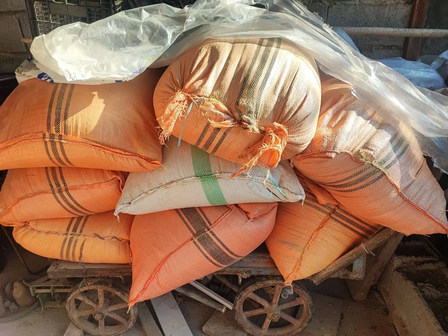 سبوس برنج|حیوانات مزرعه|محمودآباد, |دیوار