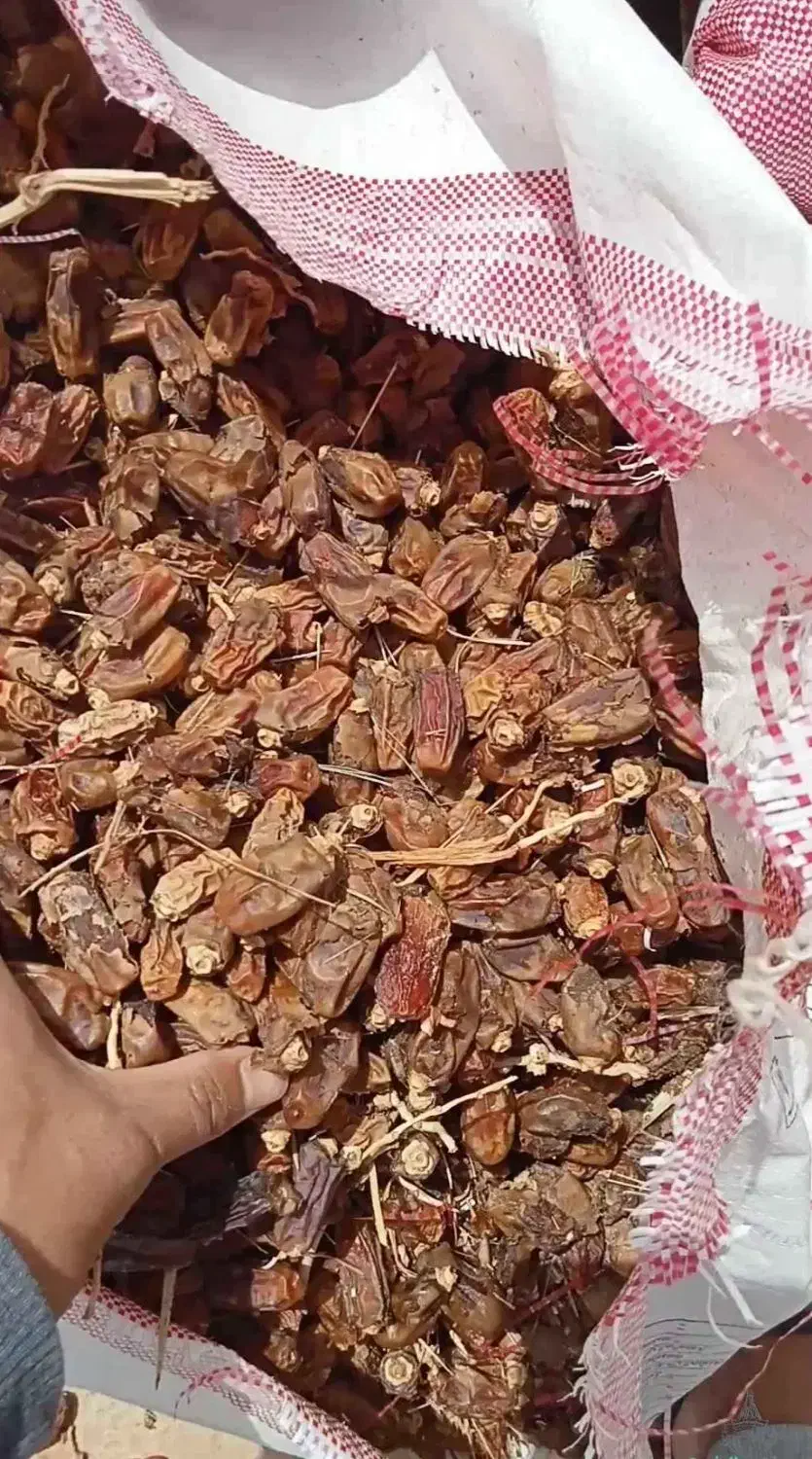 ضایعات خرما|خوردنی و آشامیدنی|اهواز, الهائی|دیوار