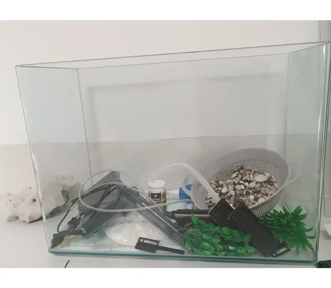 آکواریوم|ماهی|شیراز, شهرک بهار|دیوار