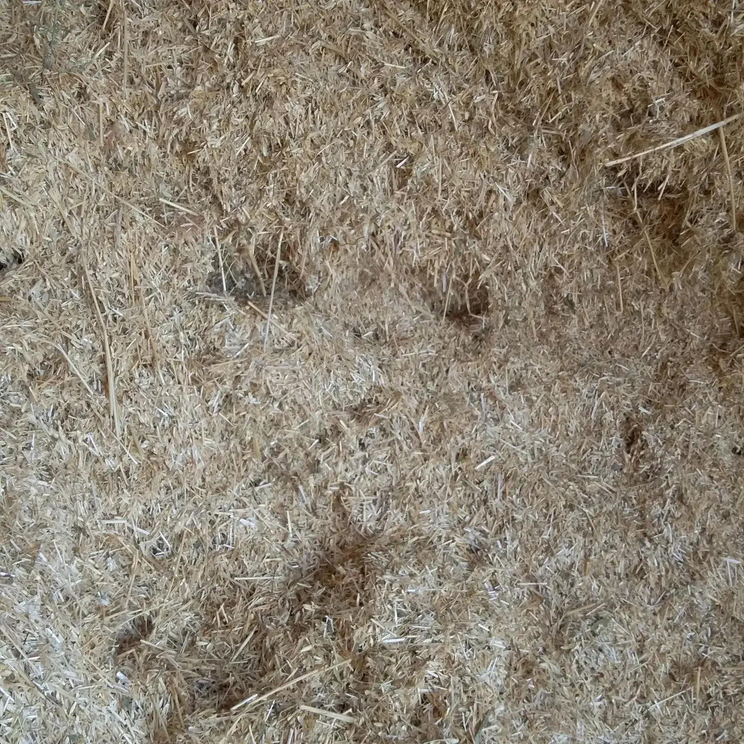 فروش کاه|عمده‌فروشی|جوکار, |دیوار