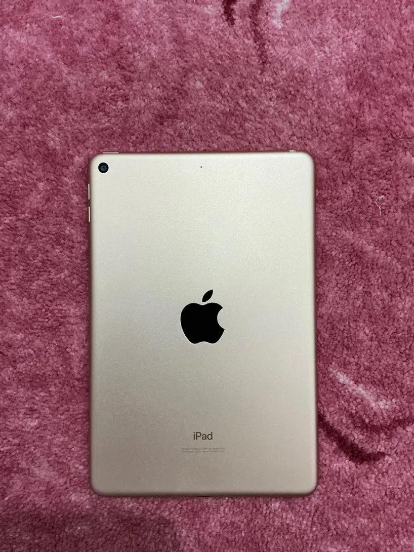 iPad Mini 5|تبلت|بوشهر, |دیوار