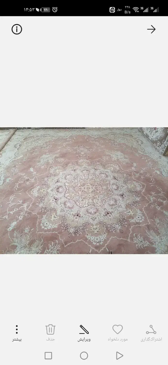 یک جفت فرش 12متری|فرش|بیرجند, |دیوار