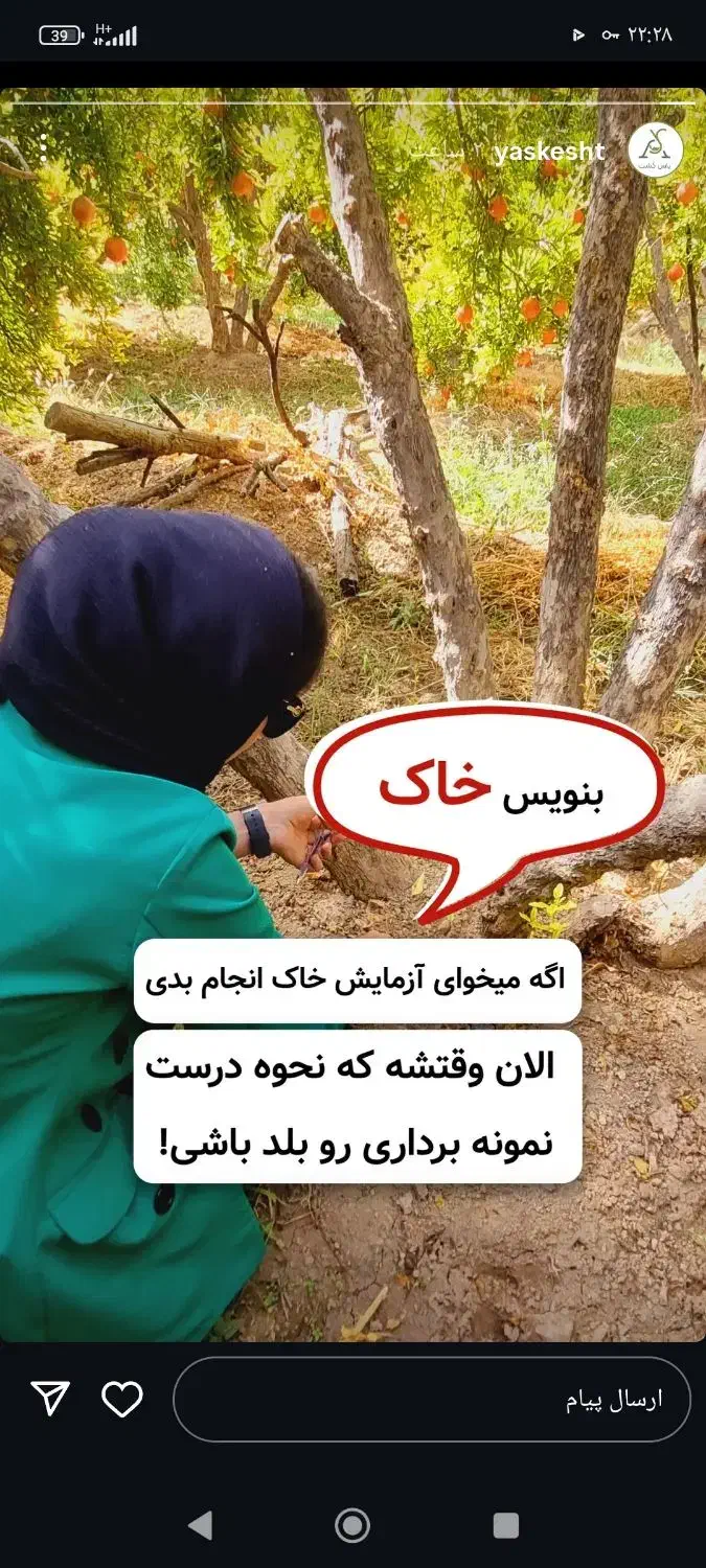 کود ارگانیک برای نخل خرما|خدمات باغبانی و درختکاری|بم, |دیوار