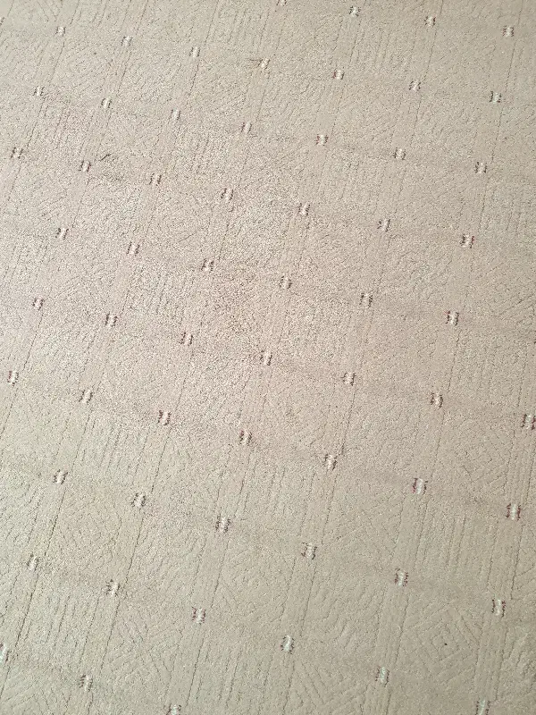 موکت|موکت|دزفول, |دیوار