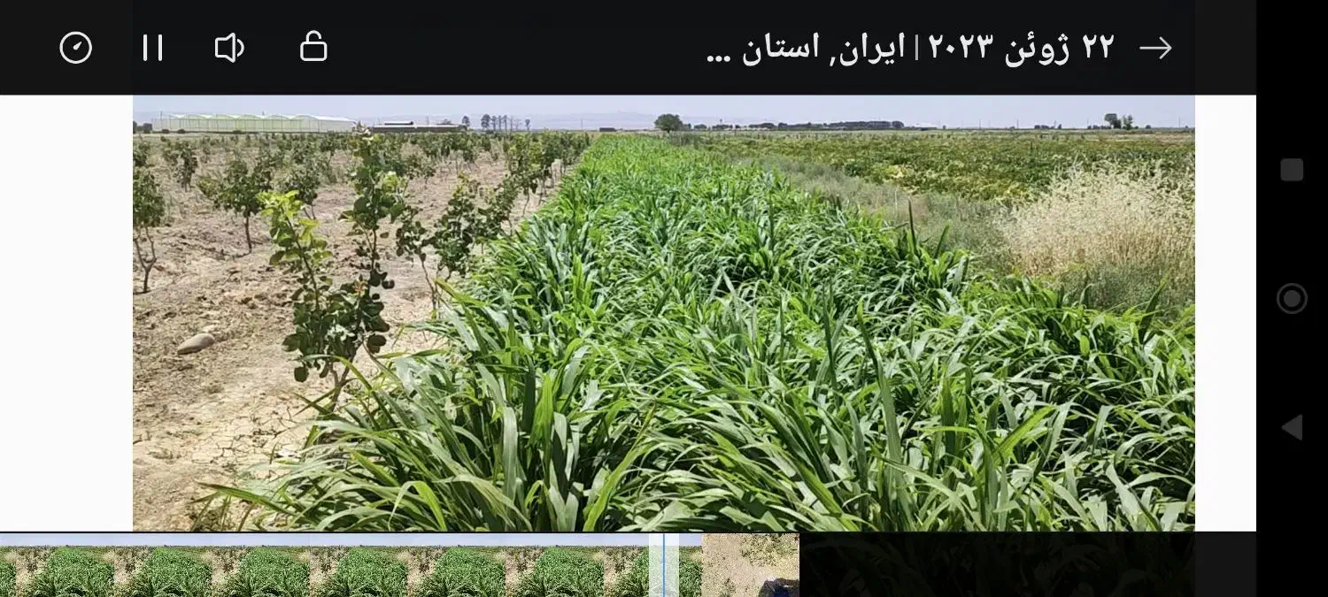 سرایداری باغ پسته|استخدام سرایداری و نظافت|جوادآباد, |دیوار