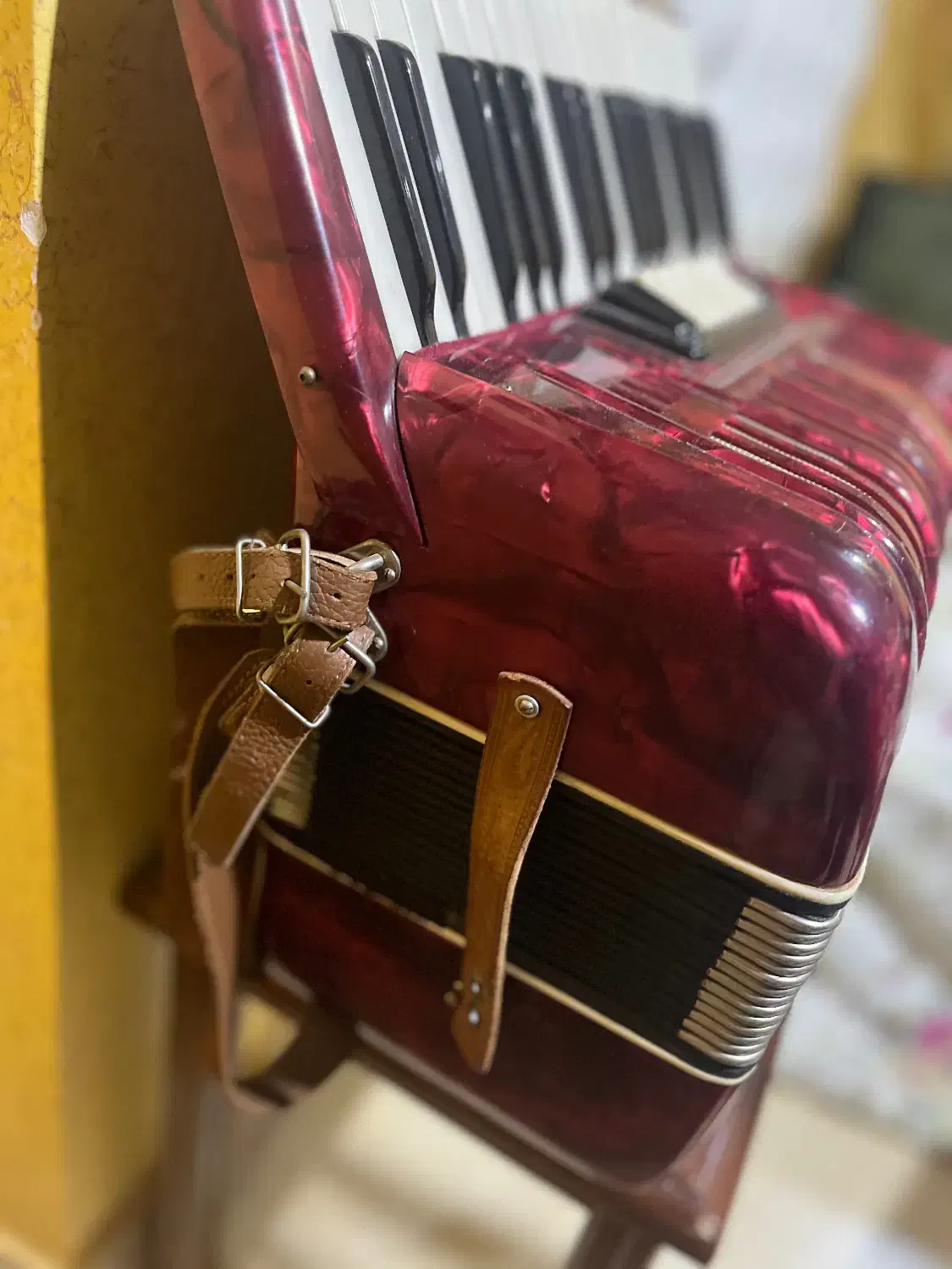 اکاردئون|پیانو، کیبورد، آکاردئون|بجنورد, |دیوار