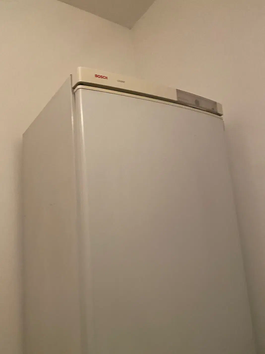 مبلمان|میز و صندلی غذاخوری|رویان, |دیوار