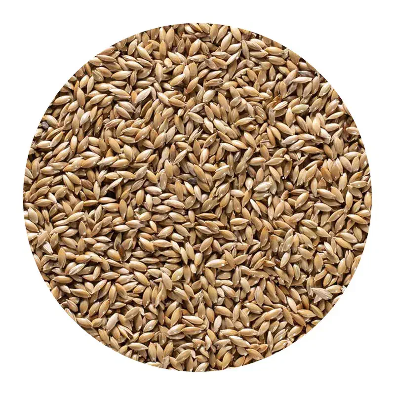 گوش دنی ، تخم کتان|لوازم جانبی حیوانات|گرمی, |دیوار