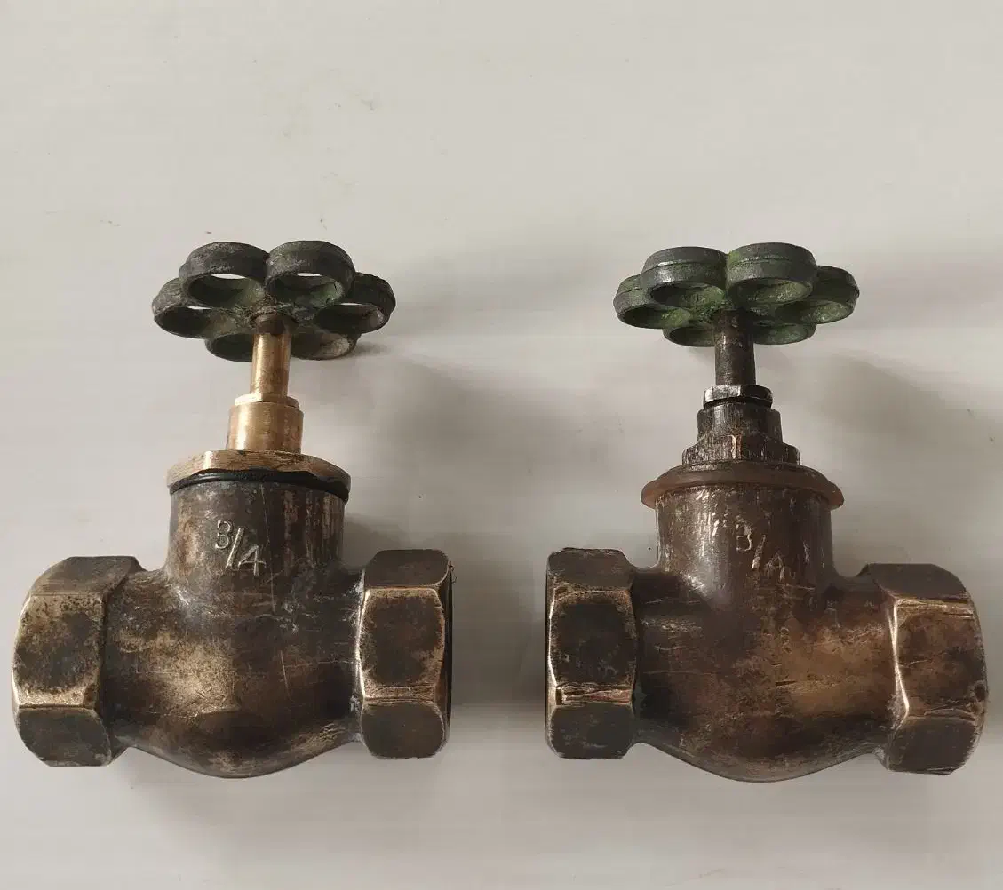 ۲عدد شیر برونزی اصل و قدیمی|کلکسیون اشیاء عتیقه|اردبیل, |دیوار